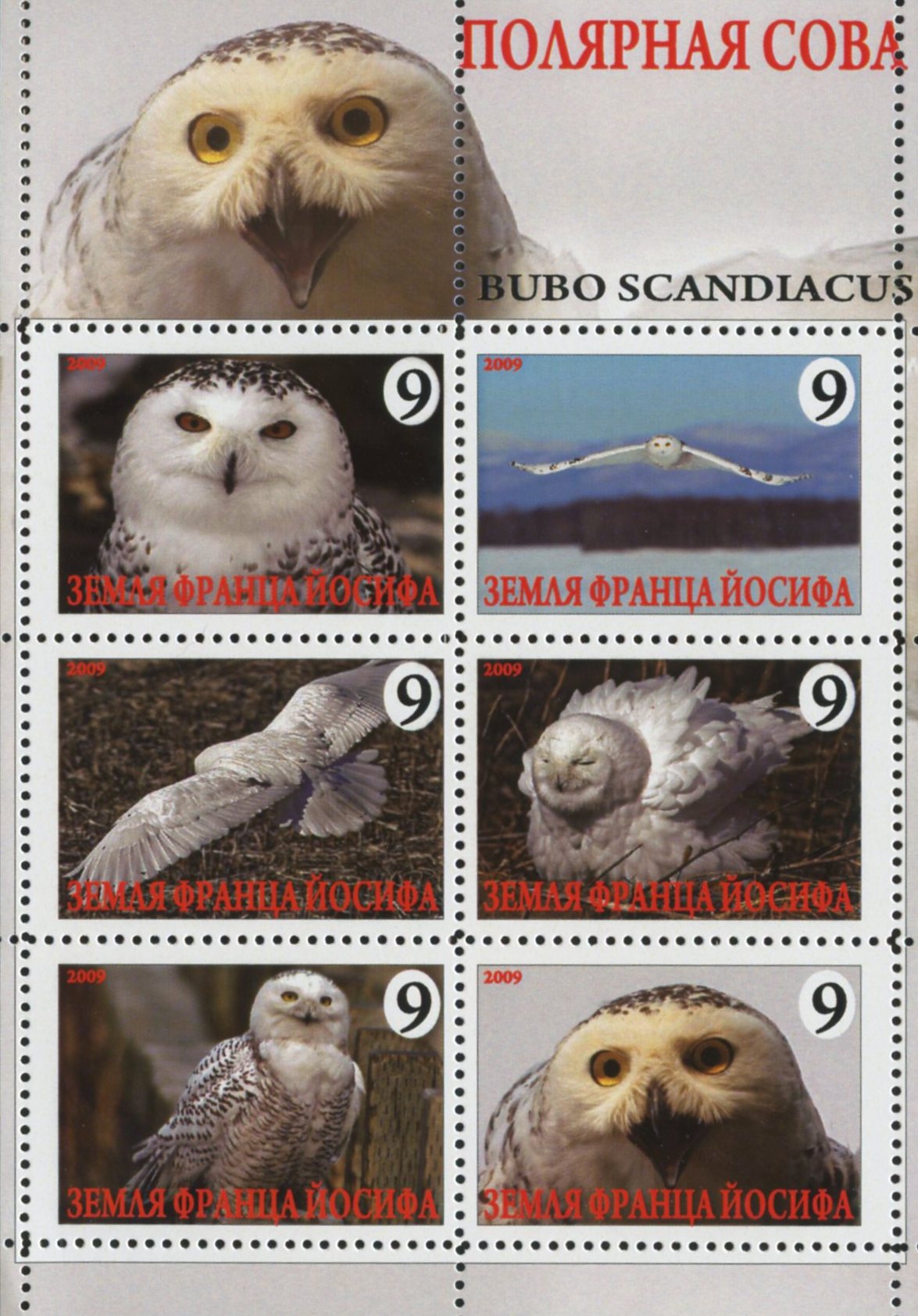 OWL BOGUS STAMPS FRANZ JOSEF LAND